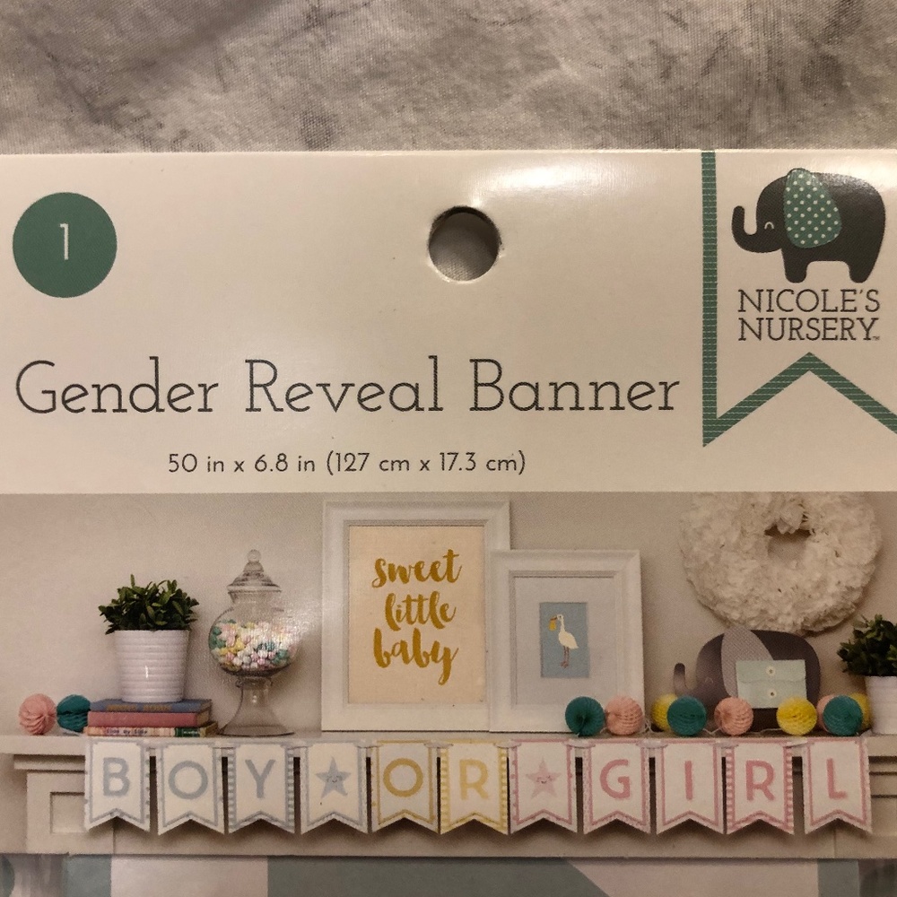 Gender Reveal Banner